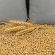 Kerne Therma Wheat Bag