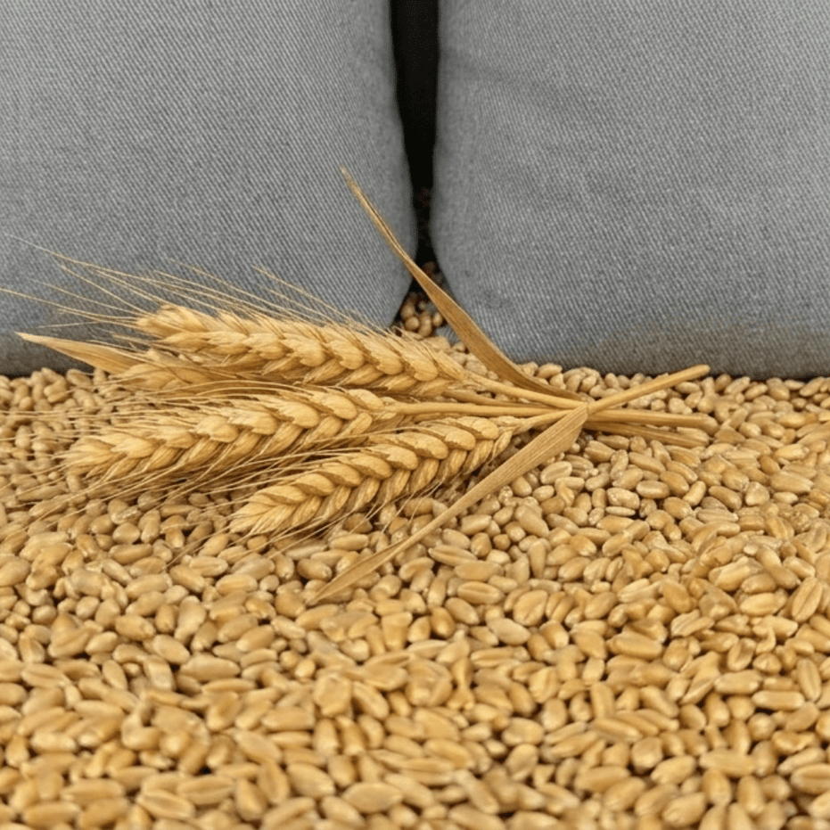 Kerne Therma Wheat Bag