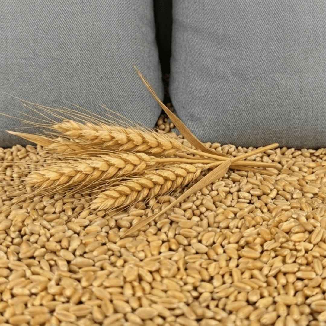 Optivita Therma Wheat Bag - Optivita