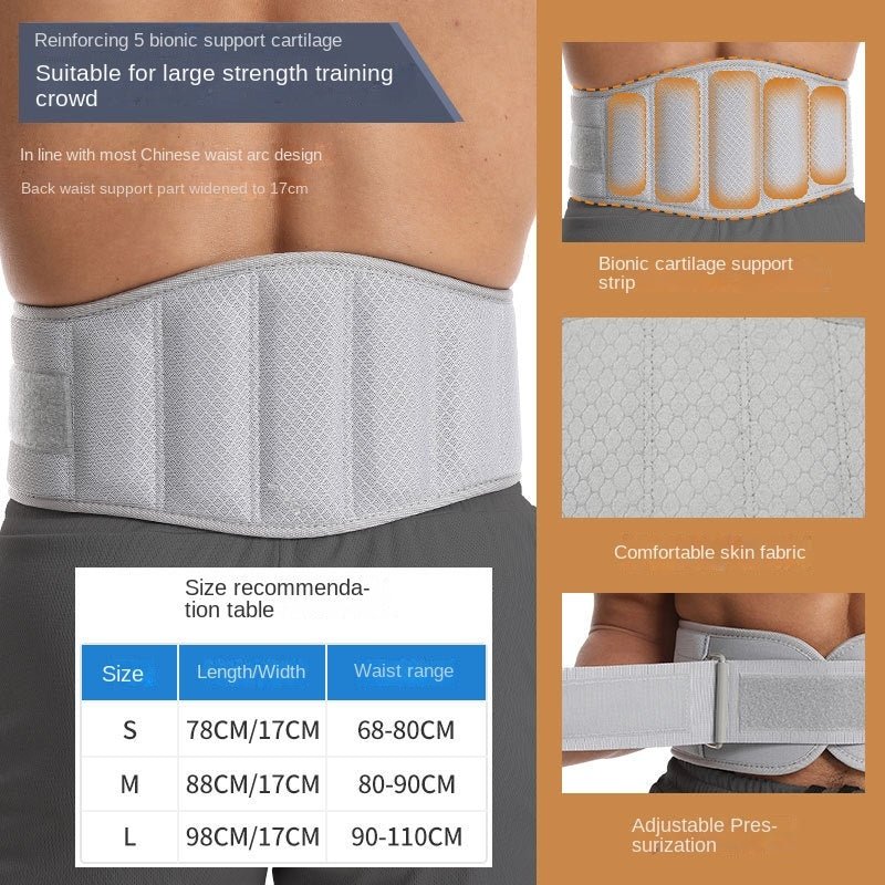 Premium Weight Lifting Belt - Optivita